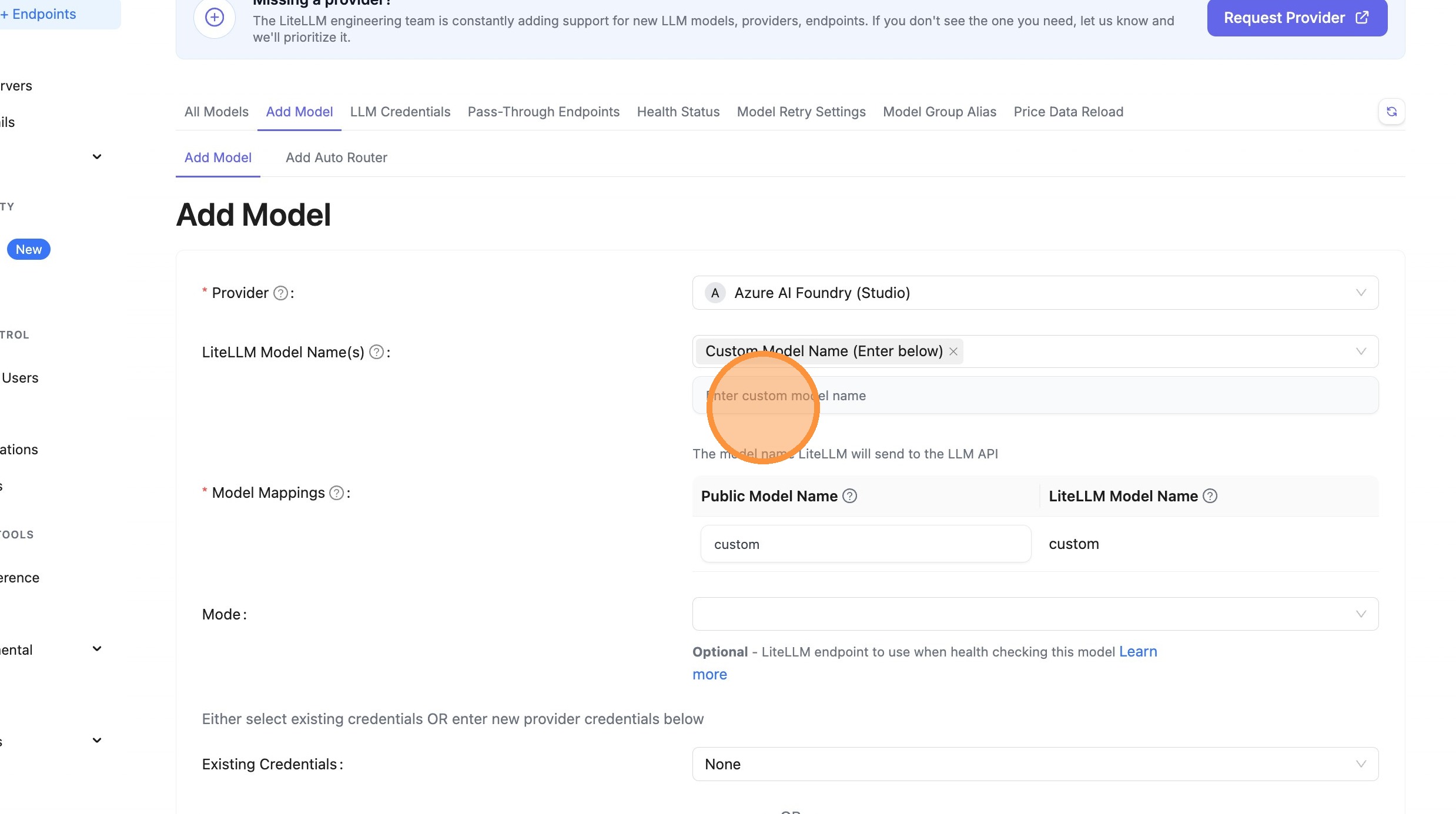 Enter Custom Name Field
